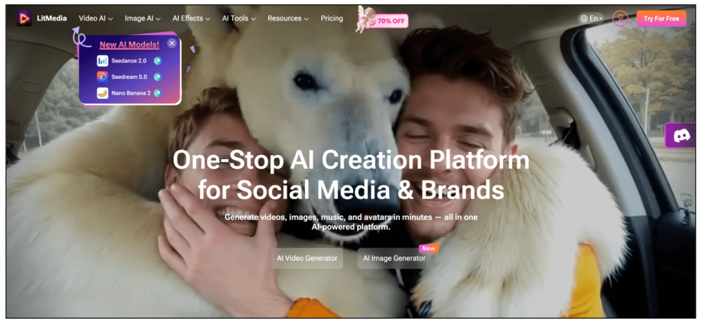 LitVideo公式サイト画像